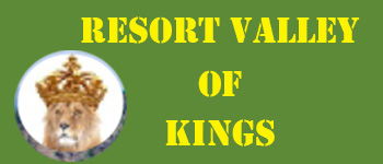 valley of kings logo